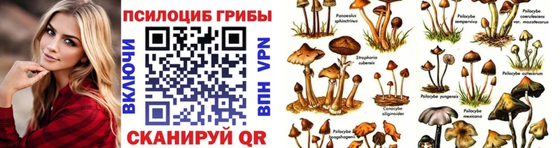 где продают   Вуктыл  Псилоцибиновые грибы ЛСД 